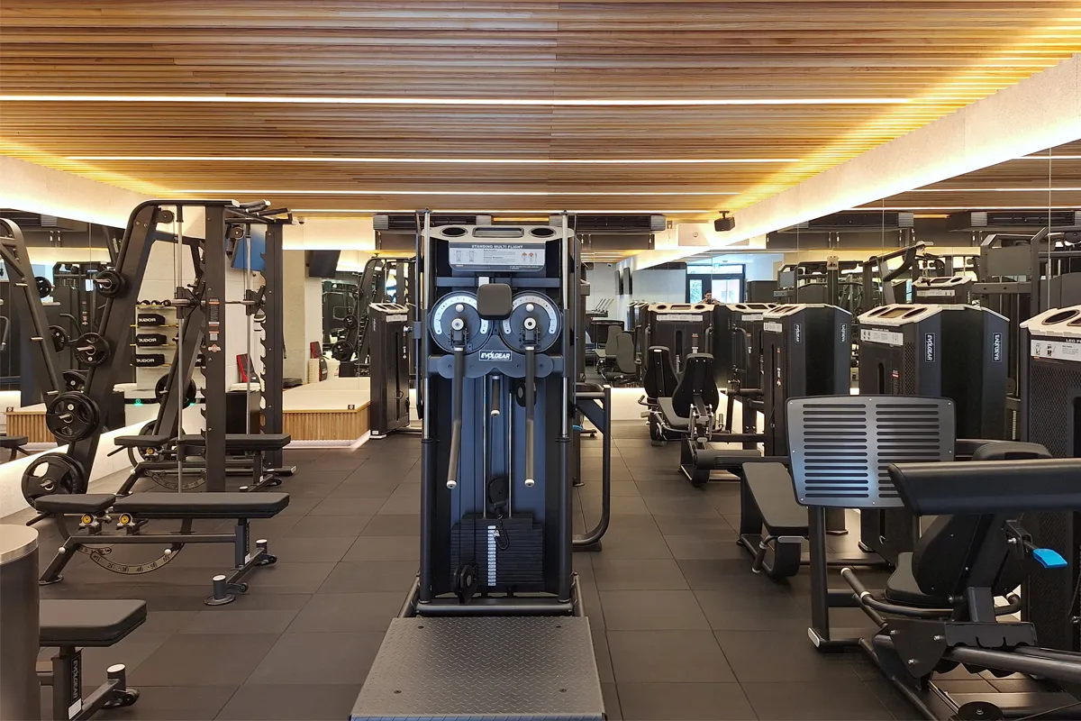 MINI GYM 365