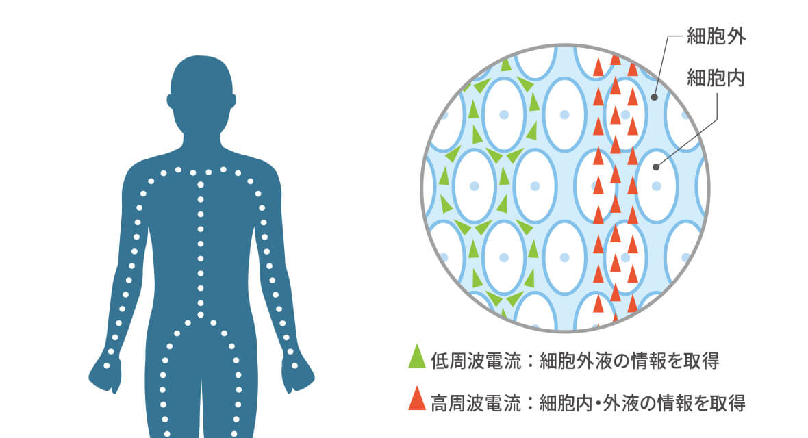 3つの周波数で精度の高い測定が可能。